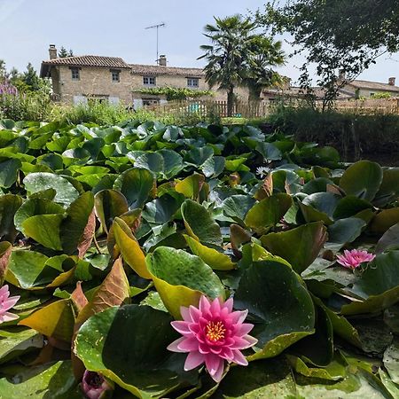 La Maison Du Petit Lac Messé Dış mekan fotoğraf
